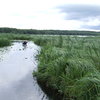 Szlak rzeki Sawicy