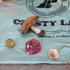 Grzybowanie 2014 - Zawody w zbieraniu grzybów