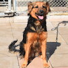 Nala (9226) *01.2025