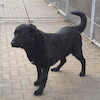 Masza (9089) *2022