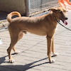 Takos (9207) *09.2024