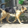 Batida (8997) *2023