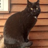 Tymon (8030) *2019 FIV (+)