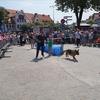 Dni i Noce - Szczytno 2015