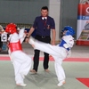 Szczycieński Klub Kyokushin Karate na zawodach w Giżycku