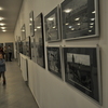 Galeria - Wystawa Fotografii Tadeusza Zagoździńskiego