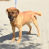 Barney (8507) *2021