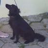 Czarek (8391) *2020