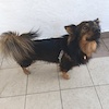 Obi (9070) *2022