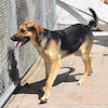 Zula (8521) *09.2022