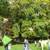 Święto latawca 2015
