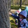 „Leśna przygoda”- wycieczka do leśnictwa Lipnik