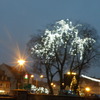 iluminacja