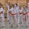 Pokaz karate  KYOKUSHIN w wykonaniu Akademii Sztuk Walki NOVUM pod kierownictwem pana Grzegorza Pliszki