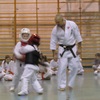 Pokaz karate  KYOKUSHIN w wykonaniu Akademii Sztuk Walki NOVUM pod kierownictwem pana Grzegorza Pliszki