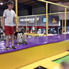 Wycieczka do Planetarium i Parku Trampolin