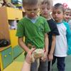 Agama brodata- niecodzienny gość w przedszkolu