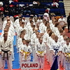 XVI Mistrzostwa Europy Open w Karate Kyokushin