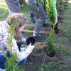 „100 drzewek na 100 lecie” w Szkole Podstawowej w Rudce