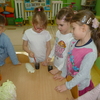 Czy rośliny pobierają wodę?- zabawa badawcza