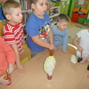 Czy rośliny pobierają wodę?- zabawa badawcza