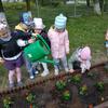 Sadzimy kwiaty w ogrodzie przedszkolnym