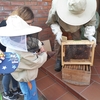 Gdzie mieszkają pszczoły ? - wycieczka do Gospodarstwa Pasiecznego Leśny Dwór