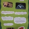 Dzień Głośnego CZytania