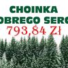 Choinka Dobrego Serca