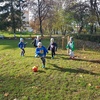 „Jesienne barwy”- zabawy w ogrodzie przedszkolnym