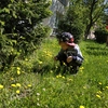 „Kwiatki na rabatki”- sadzenie kwiatów i ziół w ogrodzie przedszkolnym, dbanie o przedszkolny „Ogród Zmysłów”