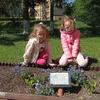 „Kwiatki na rabatki”- sadzenie kwiatów i ziół w ogrodzie przedszkolnym, dbanie o przedszkolny „Ogród Zmysłów”
