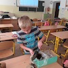 Czego roślina potrzebuje do życia?