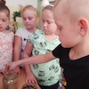 Czego roślina potrzebuje do życia?