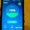 102 km dla Niepodległej