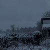 Zima w Szczytnie i okolicy na podstawie zdjęć klas VII