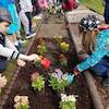Mali ogrodnicy- zakladamy wiosenny ogródek