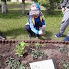 Pielęgnujemy ogródek i sadzimy nowe kwiatki