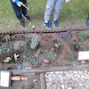 Pielęgnujemy ogródek i sadzimy nowe kwiatki