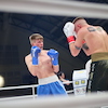 RBK Boxing Night 2
