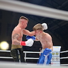 RBK Boxing Night 2