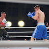 RBK Boxing Night 2