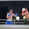 RBK Boxing Night 2