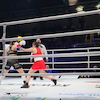 RBK Boxing Night 2