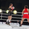 RBK Boxing Night 2