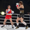 RBK Boxing Night 2