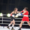 RBK Boxing Night 2