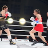 RBK Boxing Night 2