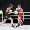 RBK Boxing Night 2