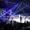RBK Boxing Night 2